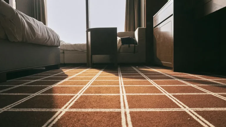 Clean carpet floor after professional extraction showing fluffy carpet fibers