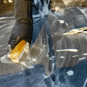 Professional carpet technician applying specialized stain treatment spray on a spot