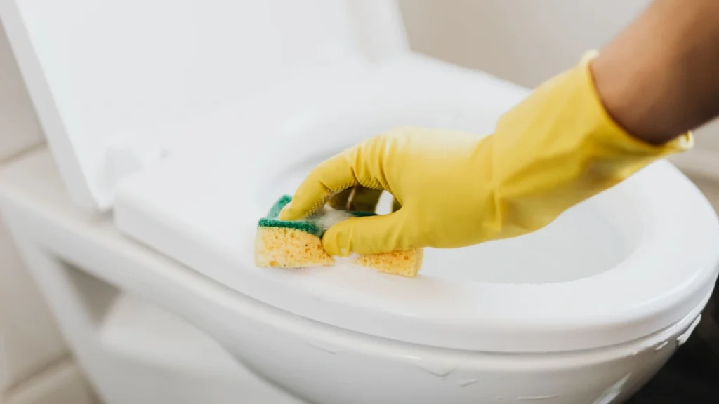 Deep steam extraction technician detailing luxury residence